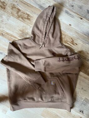 Carhartt Pullover Hoodie in Brown/Tan